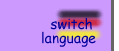 switch language